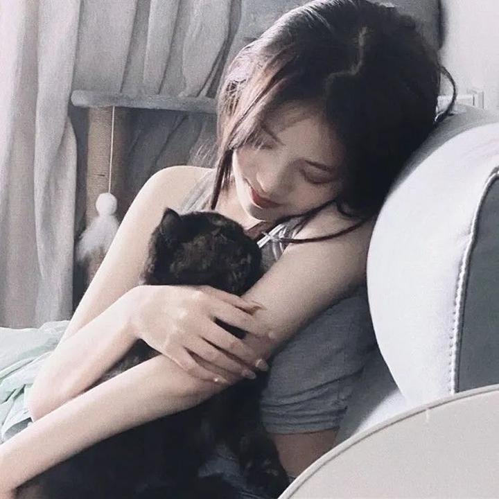 战国名花 在线观看封面