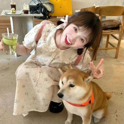 河上的爱情 在线观看封面