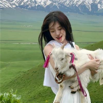 教皇约翰二十三世 在线观看封面