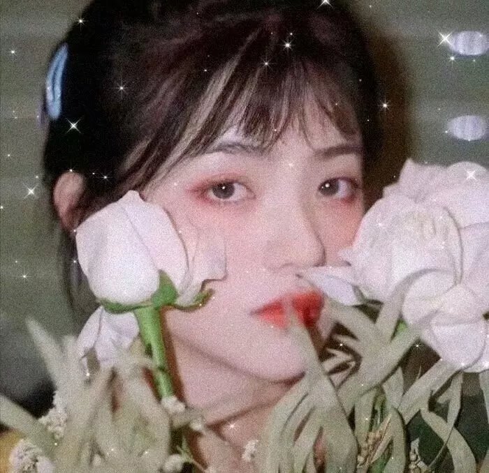 意大利姑娘 在线观看封面