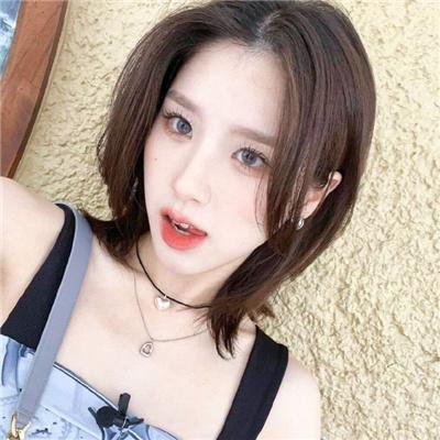 茉莉花 在线观看封面
